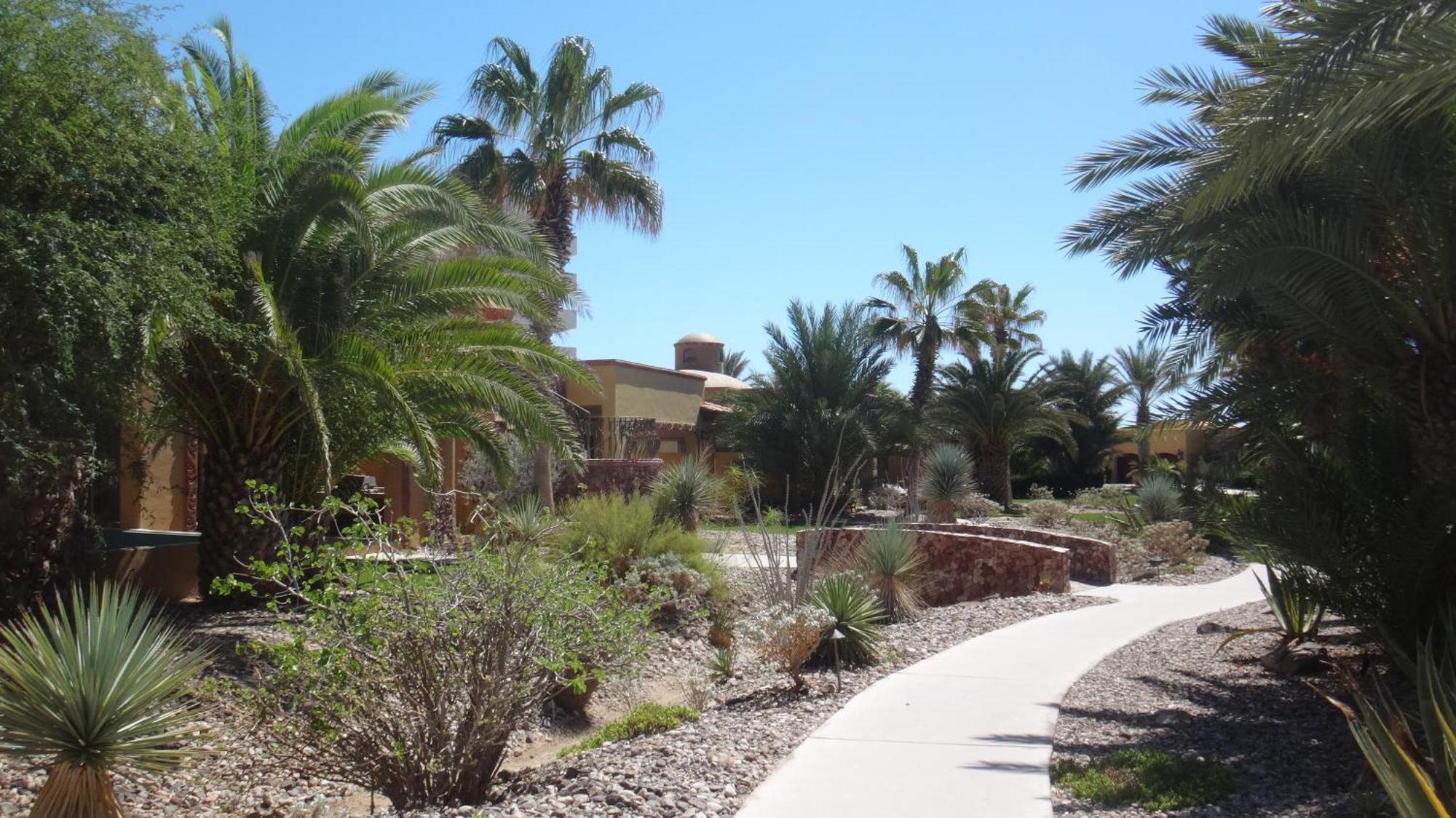 Bella Sirena Condo 201-E - Elegant Condo With Sunrise Sea Views Puerto Peñasco Eksteriør billede